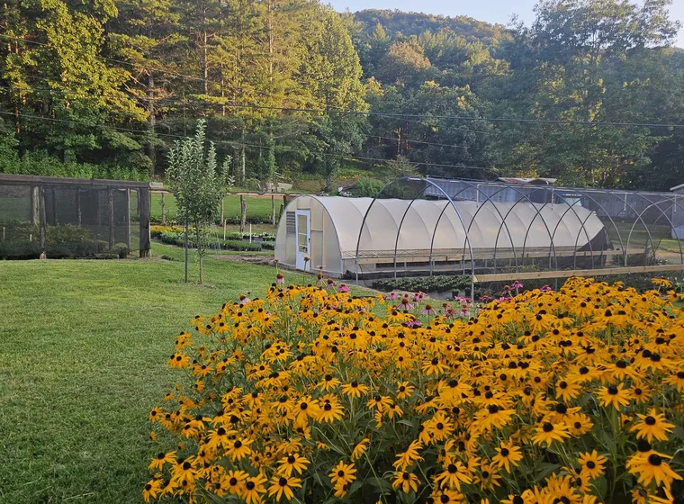 Wide view of the nursery and hoop house at sunrise